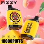 Fizzy Great 10000 10K Puffs 2% 5% Nicotine Original Edition Disposable Vape