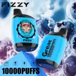 Fizzy Great 10000 10K Puffs 2% 5% Nicotine Original Edition Disposable Vape