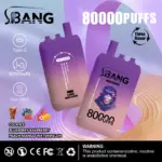 Bang Leader 80000 80K Puffs 3 in 1 Flavors Newest Original Rechargeable Disposable Vape
