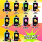 Mr.Goodie 50000 50K Puffs Original Adjustable Ice level LCD Display Disposable Vape