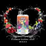 Uwin Twins Crystal 40000 40k Puffs Double Taste LED Display Disposable Vape