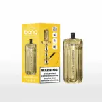 Bang E-Shisha Head 42000 42K Puffs Gold LED Display Disposable Vape