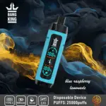 Bang King Shisha 25000 25K Puffs Newest LED Display Leather Disposable Vape Pen