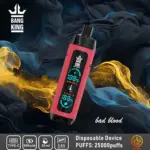 Bang King Shisha 25000 25K Puffs Newest LED Display Leather Disposable Vape Pen