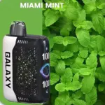 GALAXY 30000 Gypsophila 30000 Puffs Hottest LED Display Disposable Vape