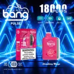 Bang Pulse 18000 18K Puffs Dual Mesh Disposable Vape Electronic Cigarette Pod