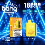 Bang Pulse 18000 18K Puffs Dual Mesh Disposable Vape Electronic Cigarette Pod