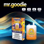 Mr.Goodie 20000 20K Puffs 2% 5% Nicotine Double Warehouser Disposable Vape Pod