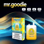 Mr.Goodie 20000 20K Puffs 2% 5% Nicotine Double Warehouser Disposable Vape Pod