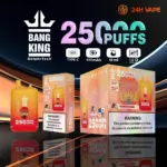 Bang King 25000 Puffs 0% 2% 3% 5% Nicotine Double Warehouser Disposable Vape Pod