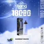 Bang Crown Bar 18000 Puffs 0% 2% 3% 5% Nicotine Leather Disposable Vape Pen