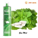 Bang SHISHA 15000 Puffs Direct To Lung Disposable Electronic Cigarette New Vape Pen