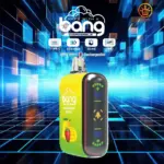 Bang Rocket 18000 Puffs Dual Mesh Disposable Vape Electronic Cigarette Pod