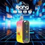 Bang Rocket 18000 Puffs Dual Mesh Disposable Vape Electronic Cigarette Pod
