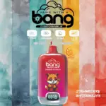 Bang Digital Box 15000 Puffs Original Edition Disposable Vape Pen