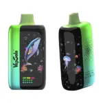 Vapsolo Master 70k puffs disposable vape